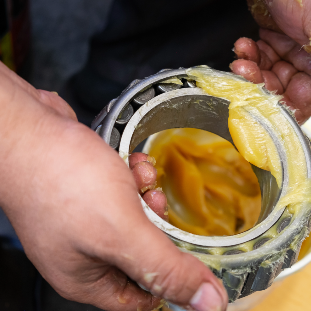 untitled (6) untitled (6)